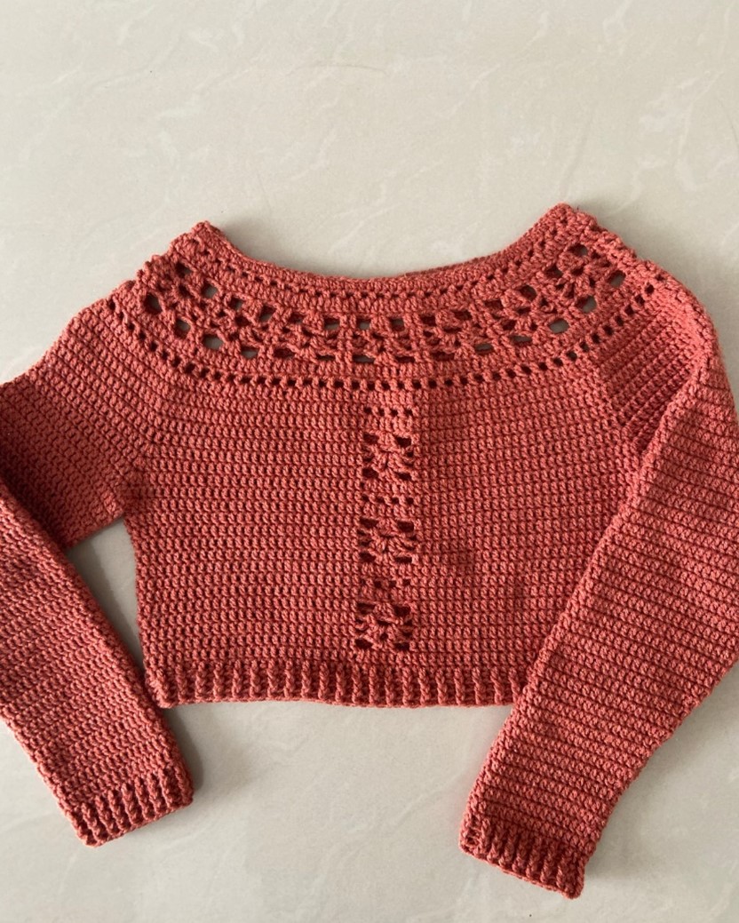 Crochet Cropped Sweater Top